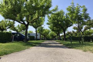 Baumgesäumter Weg mit geparkten Wohnmobilen an den Seiten, klarer Himmel.